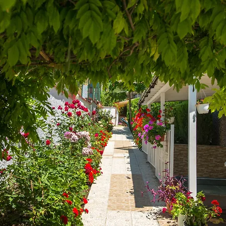 Otel Iris 3*